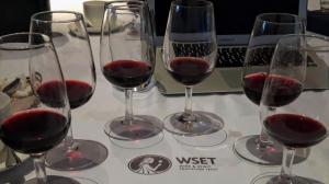 WSET 2  Vin